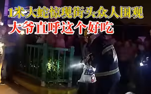 1米大蛇惊现街头大爷直呼这个好吃：消防队员用专业工具将蛇抓获