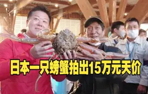 日本一只螃蟹拍出15万元天价