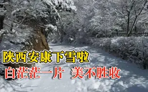 陕西安康桃花雪
