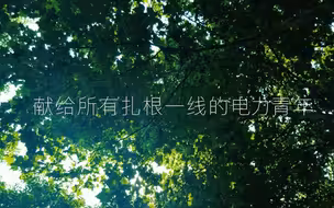 【国家电网】献给所有扎根一线的电力青年