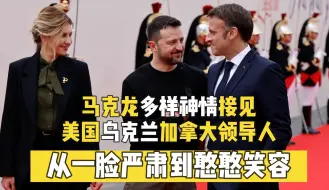马克龙接见美国乌克兰加拿大领导人：从一脸严肃到憨憨笑容
