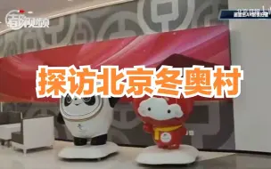 老厂房变身代表团报到首站，智能机器人首次亮相
