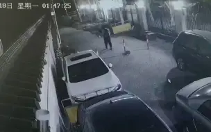 桥洞藏茅台牵出10万元白酒被盗案