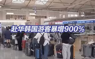 韩国旅行社盯上中国海南