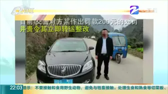 男子开轿车运载13头猪崽  网友：看看这满满的年味