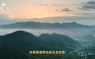 绿水青山带笑颜丨一片叶子富了一方百姓