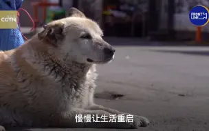 基辅农贸市场逐渐恢复供应