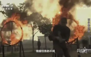 随着任务执行的多样化 95式枪族也越来越体现出其独特的性能优势