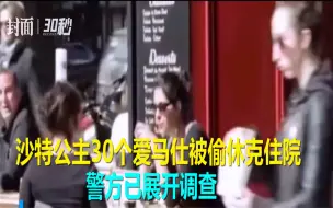 沙特公主30个爱马仕被偷休克住院 警方已展开调查