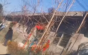 回城返工，子孙给老爷爷磕头告别