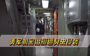 美军最机密潜艇上臭虫暴发，“人被活活吃掉”，指挥官拿士兵当诱饵