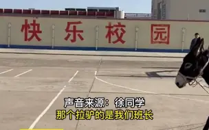 畜牧专业男生被驴拉着跑，引学生围观，同学:可能驴受惊了。@xxoollll