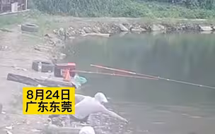 男子钓鱼被鱼拖入水里狂喊救命，老板：水深一米多，大鱼跑了