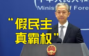 美国导演的所谓“民主大片”从来不是世界的福音 而是动荡的祸根