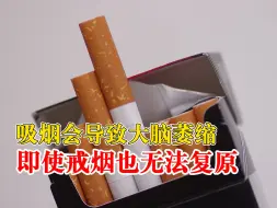 吸烟会导致大脑萎缩戒烟也无法复原：每天吸烟越多，脑容量就越小