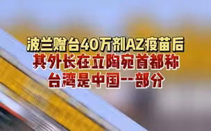 波兰外长在立陶宛首都称：台湾是中国的一部分！