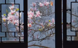 中式审美之—园林框景艺术