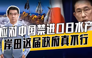 岸田文雄出5招，避免水产出口依赖中国，却将核污水排海坚持到底