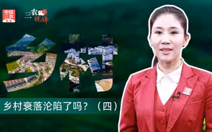 三农锐评丨乡村衰落沦陷了吗？（四）【现在的乡村就像一个老地基上盖房子的工地，自然一片狼藉，但等一段时日，旧的清除干净，新的建起了，就会一片生机勃勃】