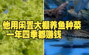 他用闲置大棚养鱼种菜 一年四季都赚钱