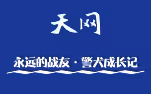 《天网》永远的战友·警犬成长记