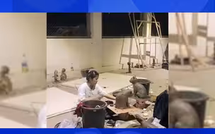 小姐姐捏泥塑想给自家猫一个惊喜，看到正面后让人哭笑不得：这啥呀！