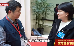 王丽萍委员：用心用力讲好中国故