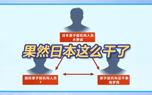 曝日本政府用政治献金搞定国际原子能机构报告
