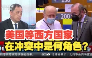 美国等西方国家在冲突中是何角色？