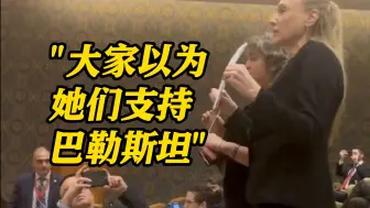 “以代表团嘉宾”打断俄外长发言 扎哈罗娃：愚蠢且事与愿违
