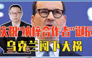 庆祝“纳粹合作者”诞辰，乌克兰闯下大祸，多国抨击，删帖也不行
