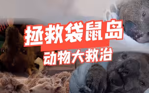 救救宝宝们！澳洲袋鼠岛的考拉大火中一半丧生…