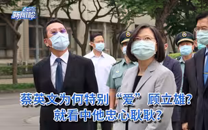 蔡英文为何特别“爱”顾立雄？就看中他忠心耿耿？