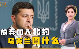 和谈关键时刻，乌克兰态度大变，宣布放弃加入北约，目的何在？