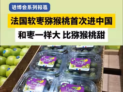 法国软枣猕猴桃首次进中国，和枣一样大 比猕猴桃甜
