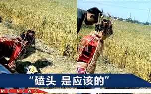 母亲重病父亲去世，河南新娘在坟前长跪不起，新郎1举动令人破防