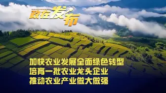 政在发布丨加快农业发展全面绿色转型，培育一批农业龙头企业，推动农业产业做大做强
