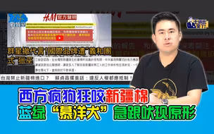 王炳忠：西方疯狗狂咬新疆棉 蓝绿“慕洋犬”急跟吠现原形