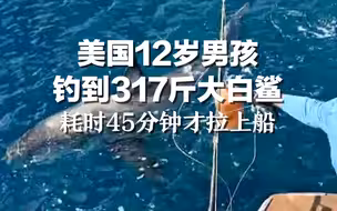 美国12岁男孩钓到317斤大白鲨，耗时45分钟才拉上船