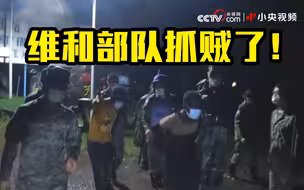 中国维和部队抓了两个贼！
