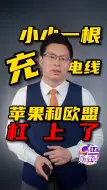 小小一根充电线，苹果和欧盟杠上了
