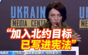 乌国防部副部长：加入北约的目标已写进宪法
