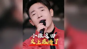 小撒这回又上感情了