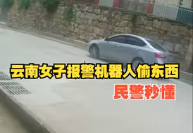 云南一女子吃野生菌看到机器人小偷