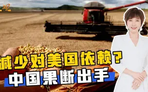 减少对美国依赖？中国果断出手，罕见从巴西进口玉米