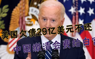中国一次性交清联合国会费，给白宫做榜样：欠债29亿美元该还了吧