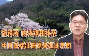 胡辣汤、肉夹馍和抹茶：中日商标注册原来如此不同