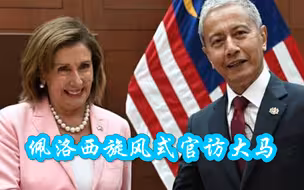 佩洛西旋风式官访大马：拜会议长与总理餐叙 众安保贴身随行