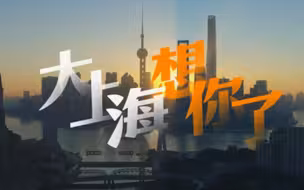 久违了！大上海，6月见！