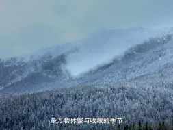 冰雪之美尽在新疆，感受冬日里的冰雪艺术 #大美中国 冰雪之约 #最美中国